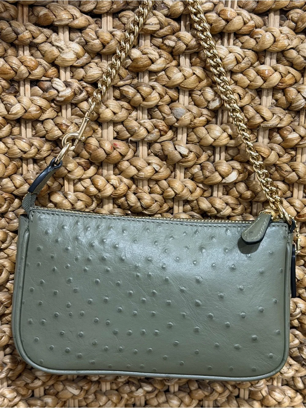 Coach Nolita Olive Ostrich Embossed